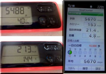 同じだけ歩いたのに･･･変！？...
