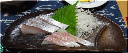 鰆のお造り　－2011/12/...