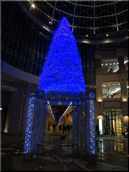 高松のクリスマス・ツリー