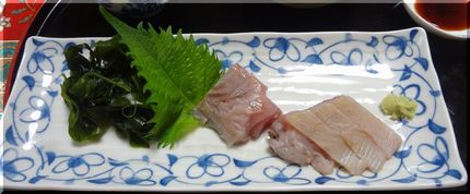 ヨコワ、失敗でした！(－－〆)...