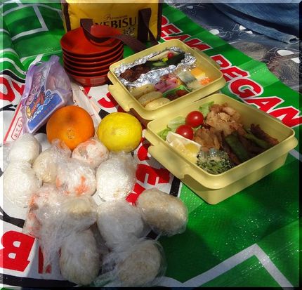 お花見弁当―2012/4/8　...