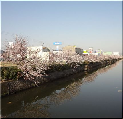 千鳥じゃなく「一鳥ヶ淵」くらい...