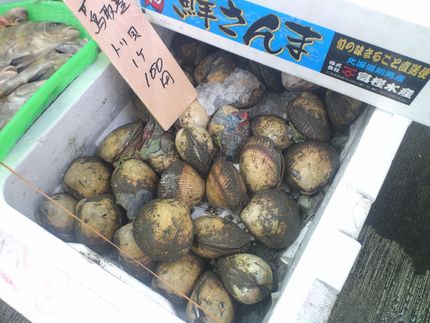 とり貝　－2012/9/7　F...