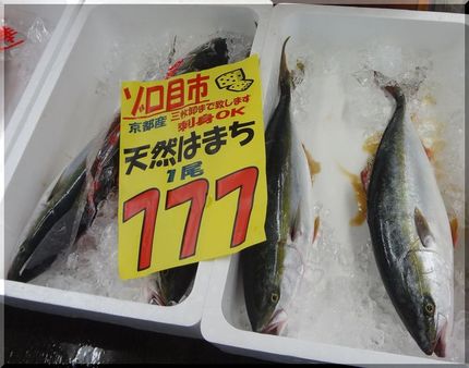 天然はまち　1尾777円！