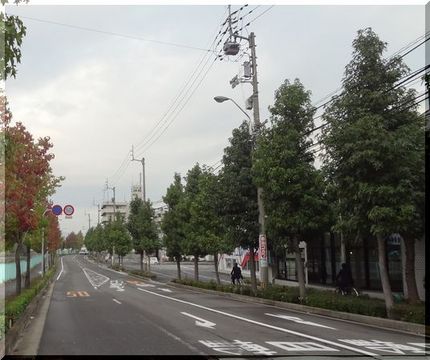 向かって右が北側、左が南側。 ...