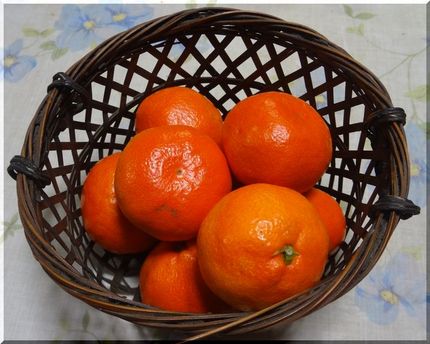 小原紅みかん