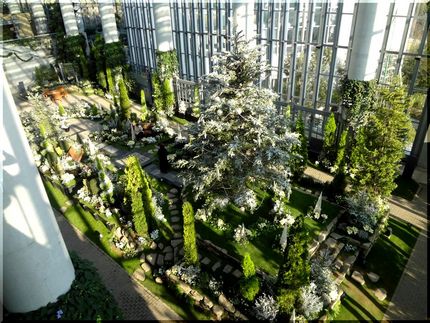奇跡の星の植物館
