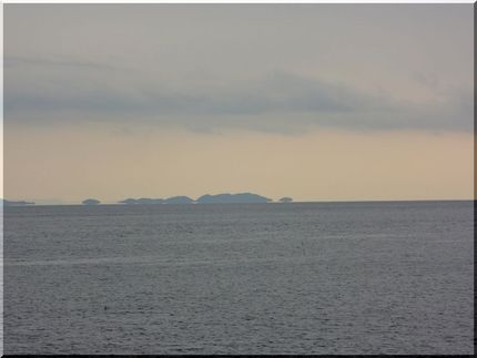 浮き島現象？