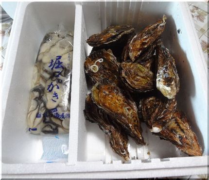 広島湾「似島（ﾆﾉｼﾏ）かき」...