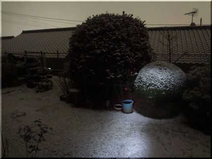 高松も「雪が降ってきた」～♪