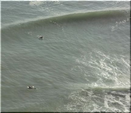 surf point!