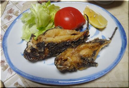 オコゼのから揚げ―2013/5...