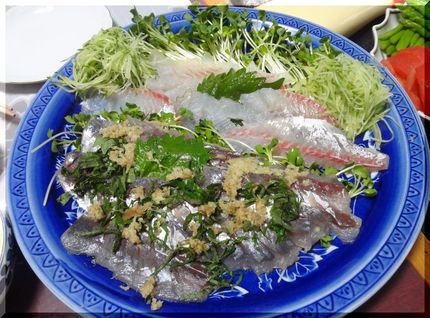 ＊天然真鯛のお造り ＊鯵のお造...