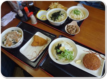 姫、よくばって肉うどん(「ここ...