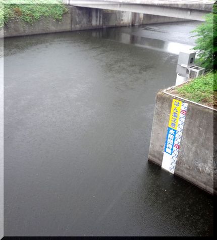 雨が降ってきた！　　　　W37...