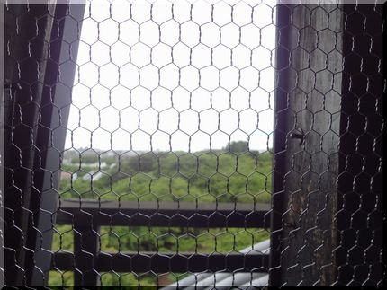 天守閣から琵琶湖方面を。 雨が...
