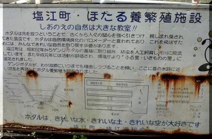 ホタルの養殖場