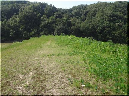 コレが天端、ため池のヘリ。 左...
