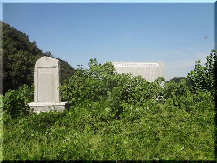 夏草が繁っていて… 葛のツルに...