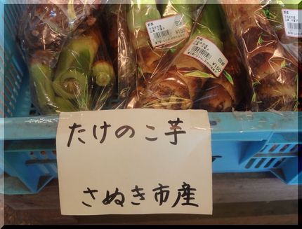 *たけのこ芋