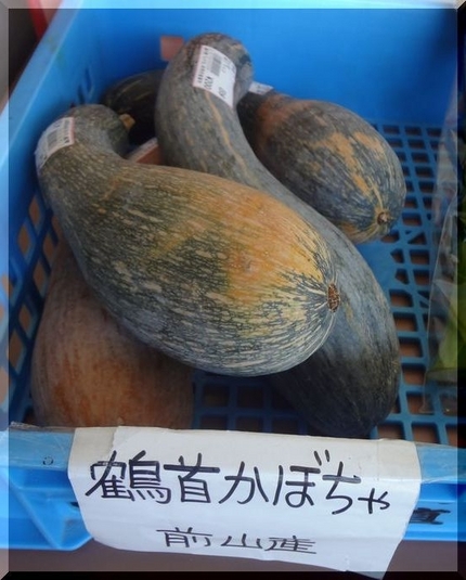 *鶴首かぼちゃ ひょうたんみた...