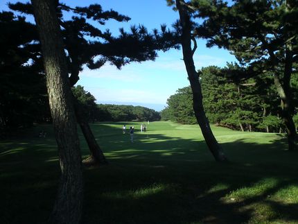 大洗ゴルフ倶楽部も無事、ホール...