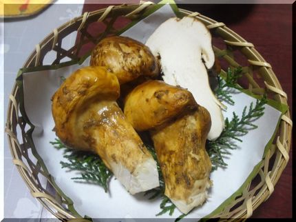 *焼き松 切ったらいい香りがキ...