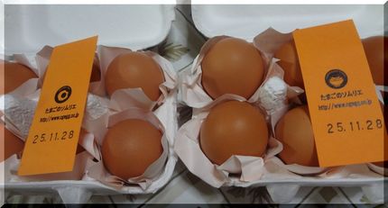 殻の色がビミョウに違います。 ...