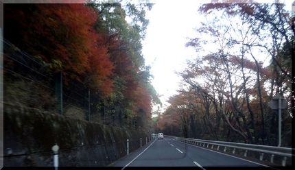 香川県の紅葉事情