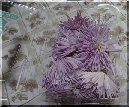 ババショフの山形県、銀山温泉の...
