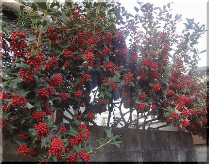2013/12/24　Tue....
