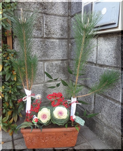 適当に寄せ植えに。(^^ゞ し...