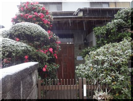 高松も大雪注意報、発令中です