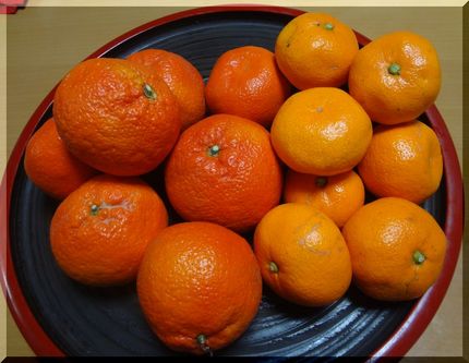 左が「小原紅早生みかん」右が普...