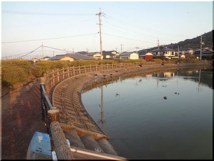 walkingするコースに、小...