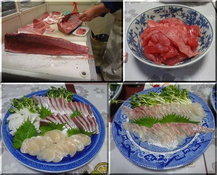 *近大マグロのなかおち Lit...