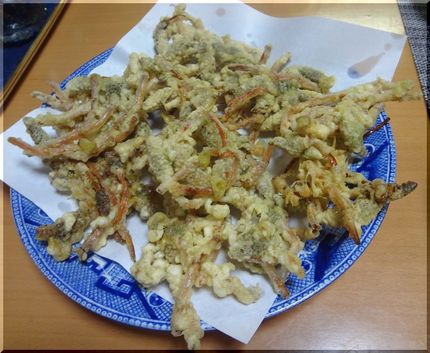 ＊つくしの天ぷら