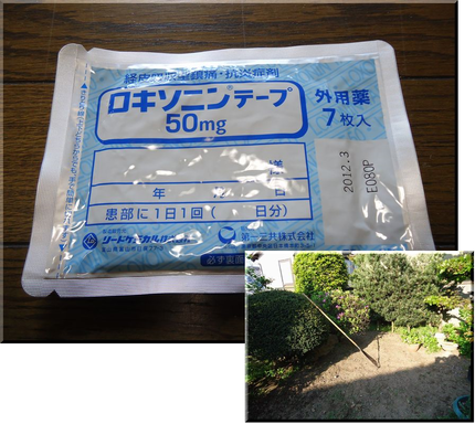 腰痛！