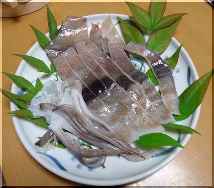 *佐渡の生干しのイカ 天日干し...