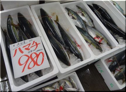 *日本海産天然ハマチ 1尾98...
