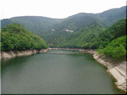 ダム湖は細長く蛇行している大き...