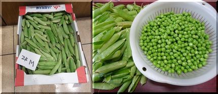大粒のお豆さん！ 2キロで68...