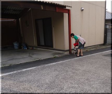 ペットボトル持参でお散歩なので...