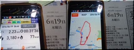 距離は少なかったけど、登りはき...