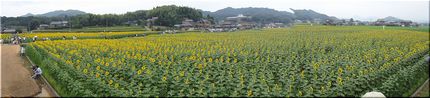 パノラマです。 ＊＊＊画像、大...