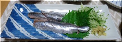 ＊鰯のお造り