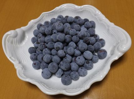 今日はブルーベリーの日　(^_...