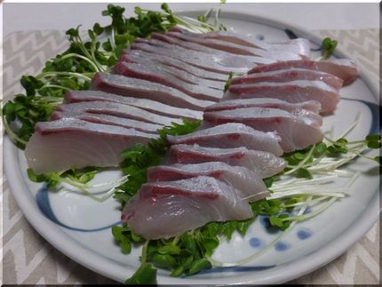 ＊カンパチ 高知産カンパチ、1...