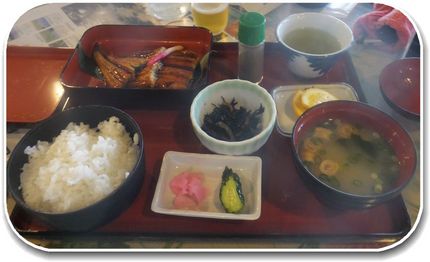 *鰻蒲焼き定食 ウルトラが。...
