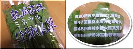 鶏頂高原は栃木県日光市にあるそ...